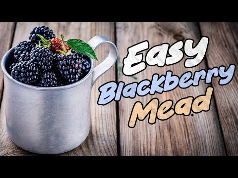 Very Tasty Blackberry Mead Recipe for Home!