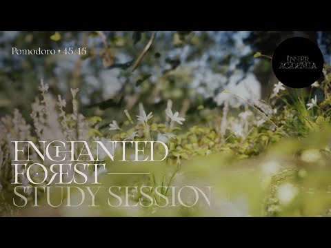 Study at the Enchanted Forest Castle | Pomodoro 45/15 🔔  2 hrs 🍀 Mystical Ambience w. Nature Sounds