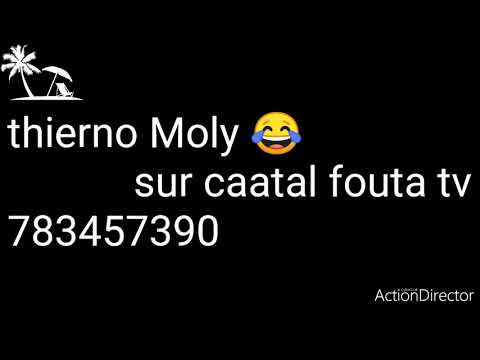 Thierno Moly 😂 sur caatal fouta tv//mort de rire
