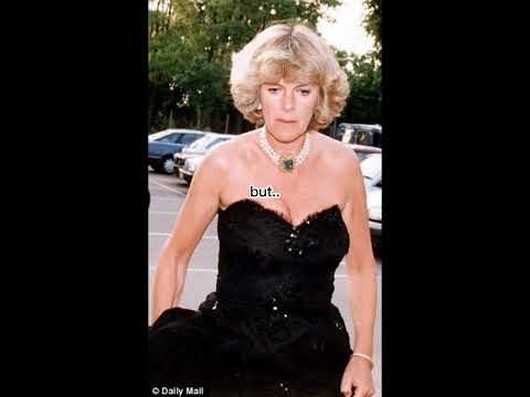 When Camilla copiying Diana's revenge dress but.. ||#shorts