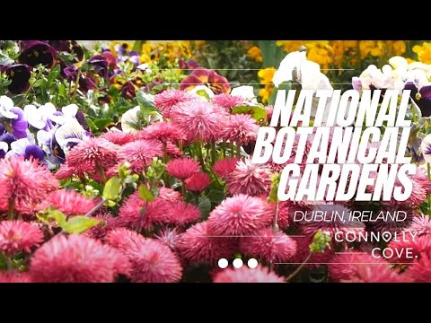 National Botanic Gardens | Dublin | Ireland | Botanic Gardens | Things to do in Dublin | Glasnevin