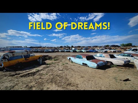 Yard Report: Vintage 1930s to 1980s cars at Snyder's in Pueblo Colorado! Junkyard cars & trucks tour