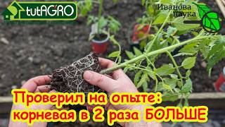 🔥 Никогда не сажайте в это! Худшие и лучшие стаканы для рассады. В чем секрет