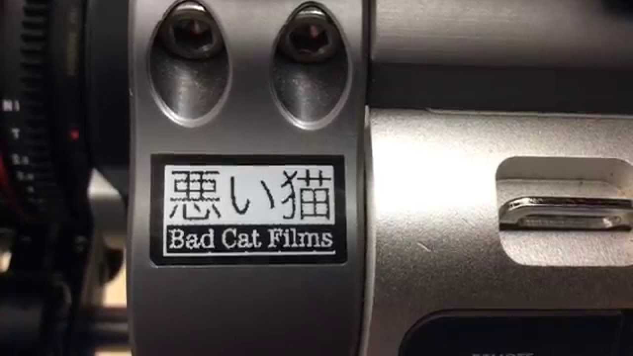 The Making Of Patience