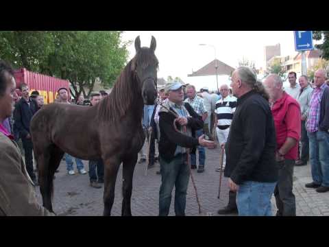 Ponymarkt Bemmel 2012