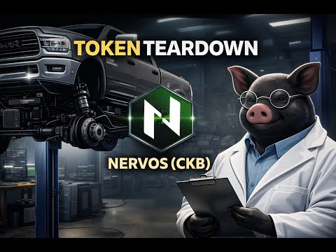 Nervos (CKB) Is Slow on Purpose — Here’s Why That Matters