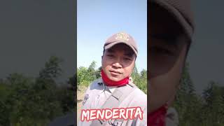 Download lagu BUTA KARENA CINTA mp3