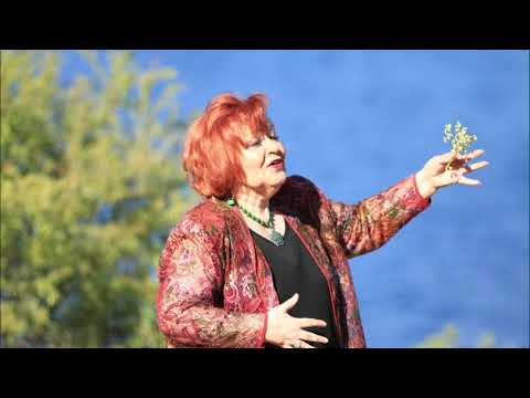 Виолета Томовска - Сакам да сме вечер заедно / Violeta Tomovska - Sakam sa sme vecer zaedno