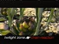 Sci Fi Channel Commercials July 4 2002
