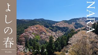 【吉野】桜の季節のお花見ハイク