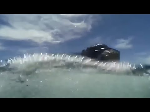 TIER DOKU  Unbekannte URZEITTIERE Monster der Tiefe  AKTEDOKU HD