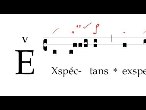 Offertorium: Exspectans exspectavi