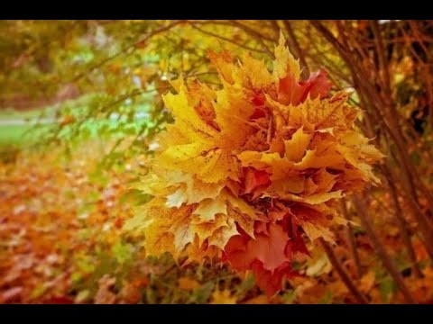"Осенняя песнь" (Op. 63, №4), дуэт для сопрано и контральто
