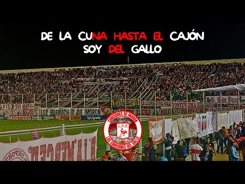 "De la cuna hasta el cajon soy del gallo" Barra: Los Borrachos de Morón &bull; Club: Deportivo Morón &bull; País: Argentina
