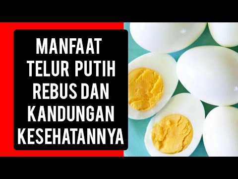 Manfaat putih telur rebus untuk kesehatan #telur