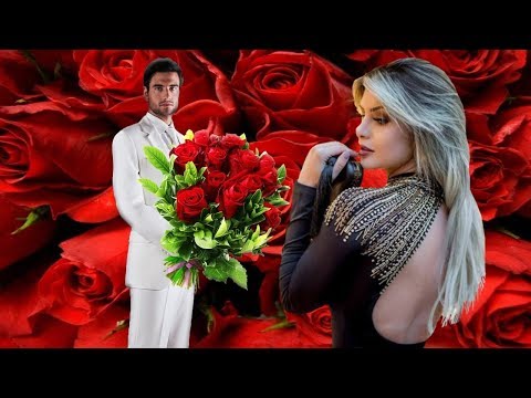 Die Flippers --  Denn heut ist unser Hochzeitstag