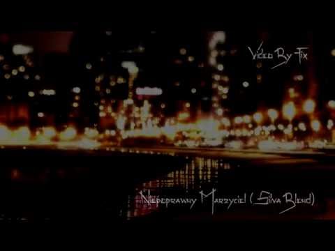 Diament - Niepoprawny marzyciel (silva blend)