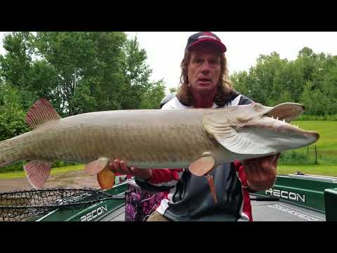 Muskie Handling