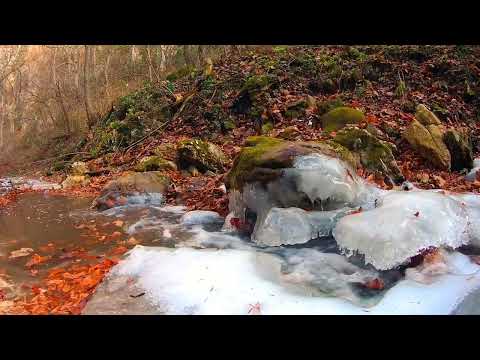 RUBACK, SLVR - TECHNOLOGYK