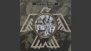 They Lie Like We Die