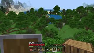 マイクラサバイバル　realms　原因はレンジ