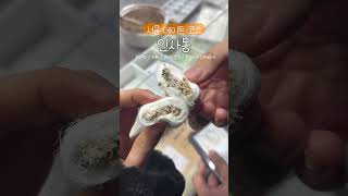 Insadong, #ItinéraireRendezVousSéoul, #RendezVousSéoul, #SalonDeThéInsadong, #RestaurantInsadong, #LieuxÀVisiterSéoul, #Insadong, #Kkultarae, #Ssamjigil, #StyleInsadong