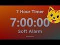 7 Hour Timer (with Soft Alarm Sound) No Music