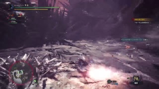 [MHW] 操虫棍サークル ムシキング 生放送！