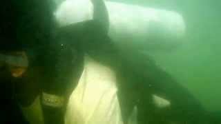 preview picture of video 'Scuba diving iN Malvan'