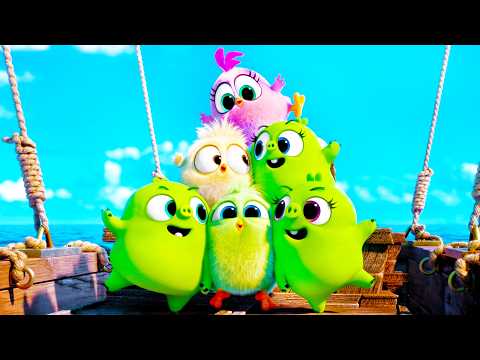 ALL the Cute Action Scenes in ANGRY BIRDS 🔥 4K