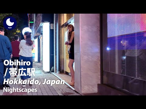 【帯広・北の屋台】夜の街を歩く｜駅前飲食店街と歓楽街