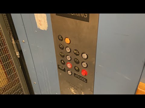 MEI/KONE Hydraulic Freight Elevator at Macy's- The Shops at Wiregrass- Wesley Chapel, FL, USA