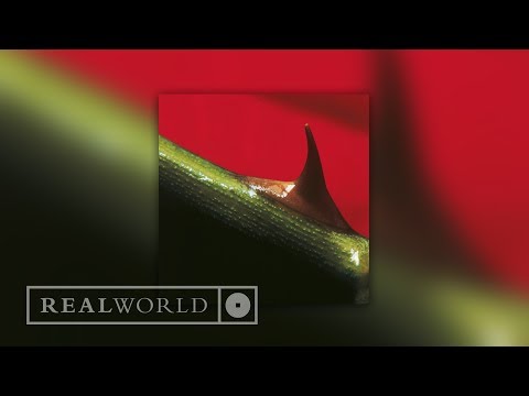 Nusrat Fateh Ali Khan & Michael Brook - Night Song