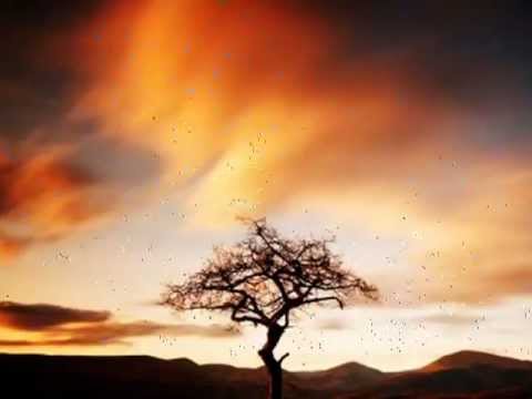 Meghayak Se Hudhakala Wee - Nanda Malani