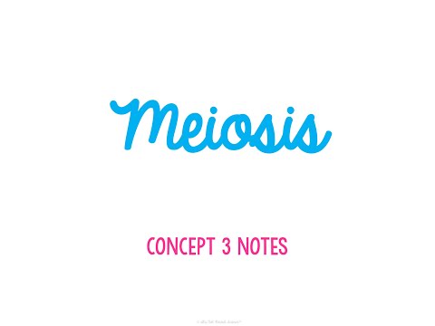 Unit 4 Genetics Concept 3 Notes *UPDATED*