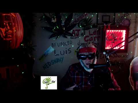 Highlight: Wild Turkey Nights