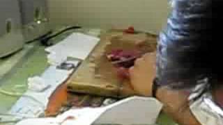 Chợ thịt bò Belleville