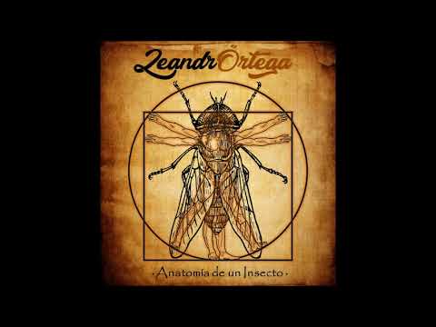 Leandrörtega - Insomnio