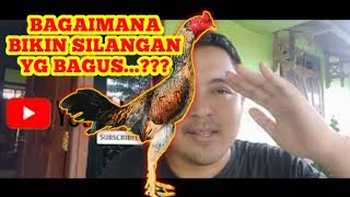 Download lagu Baguskah P4KH0Y disilang M4ngon...P4ma disilang B4ngkok...kita bahas disini mp3 Download lagu Baguskah P4KH0Y disilang M4ngon...P4ma disilang B4ngkok...kita bahas disini mp3