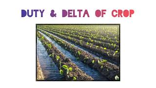 water requirement- duty & delta of crop | #civilengineering  #irrigationengineering