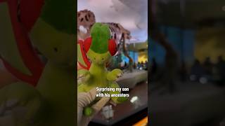 Surprising my Flygon with… #pokemonfossilmuseum
