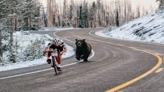 Bear charges Cyclists in Russia!!!