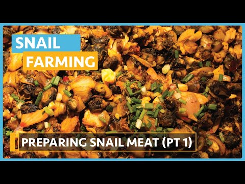 Snail Farming Lesson 1 Introduction