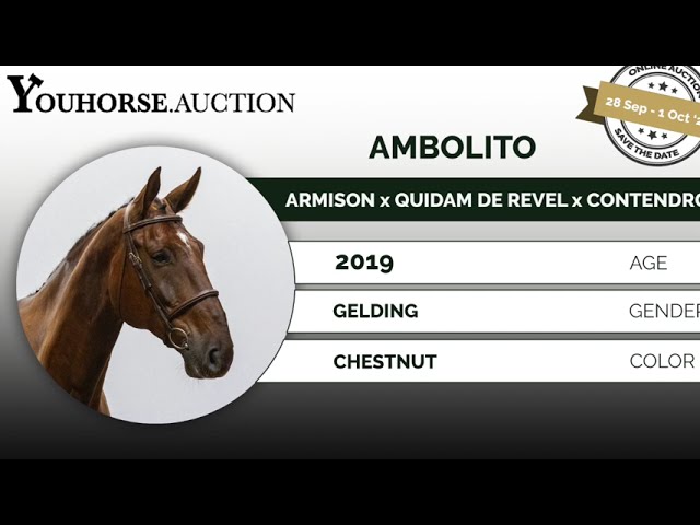 Ambolito showvideo