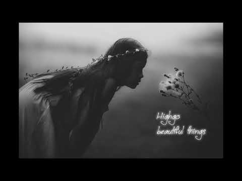 Highgo-beautiful things