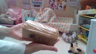 Box opening of my new Silicone baby piglet!!!!!