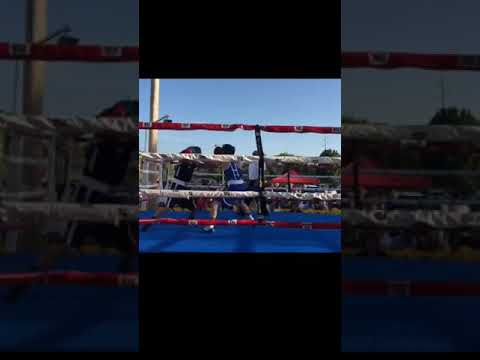 Mikal Verdine  ( Highlights )