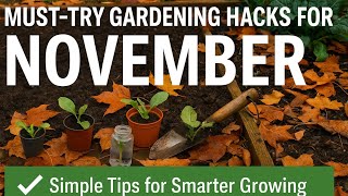 🎥 ✅ 🌱 Must-Try Gardening Hacks for November 🍂 | Simple Tips for Smarter Growing 🌿🎧