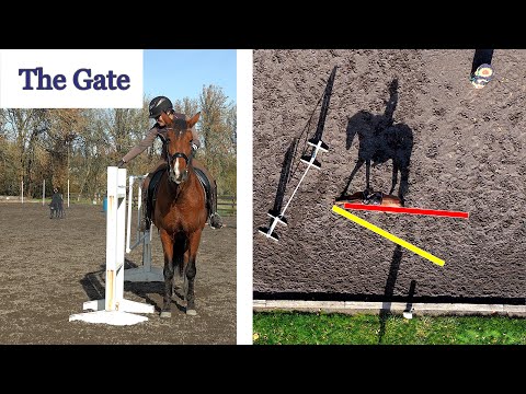 Mastering THE GATE in Working Equitation - Forward, Reverse, Push & Pull