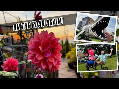 Rooftop Garden and Beyond: Behind the Scenes